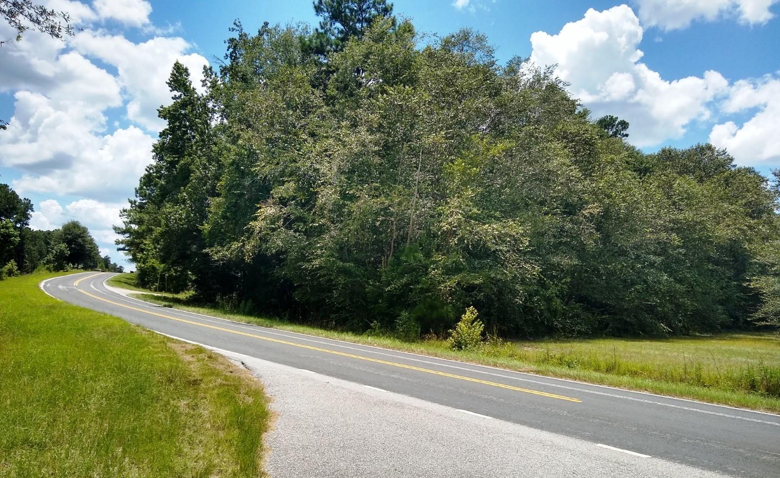 421 Beidler Forest Road Dorchester, SC 29437 - Photo 14 of 42 IMG_20200723_140910932_HDR