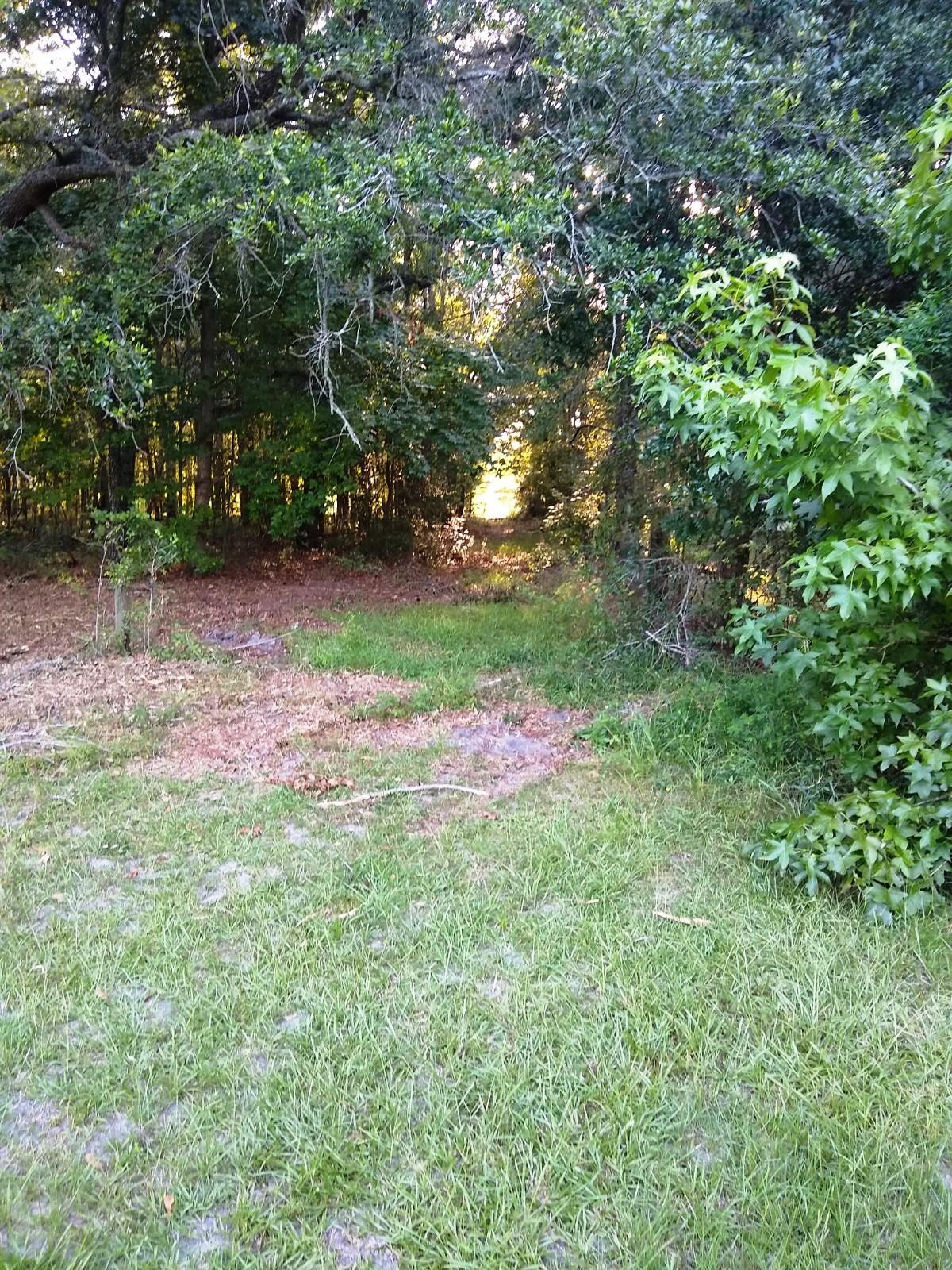 421 Beidler Forest Road Dorchester, SC 29437 - Photo 8 of 42 IMG_20200721_190123175
