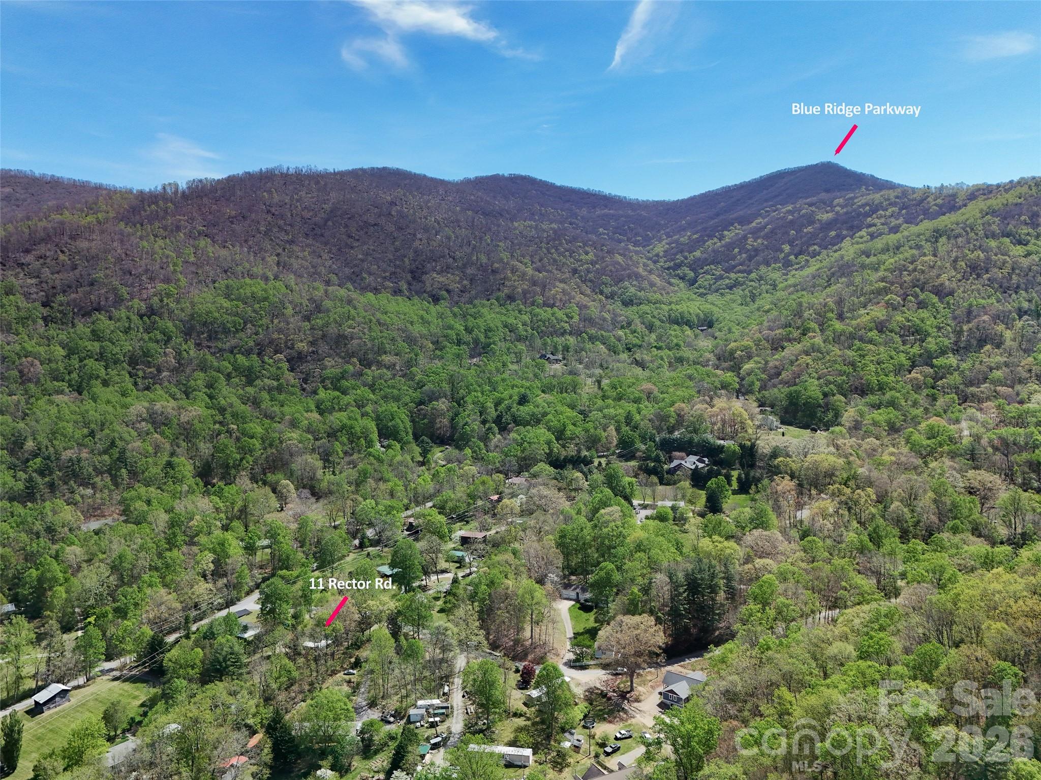 11 Rector Road Weaverville, NC 28787 - Photo 3 of 36 Gallery Image 3