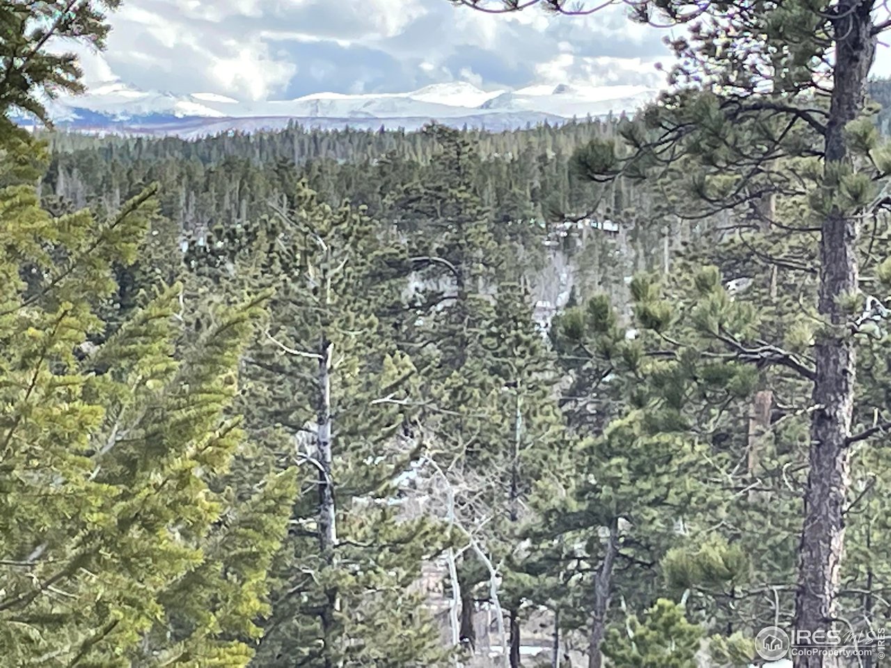 2881 Tiny Bob Road Red Feather Lakes, CO 80545 - Photo 2 of 6