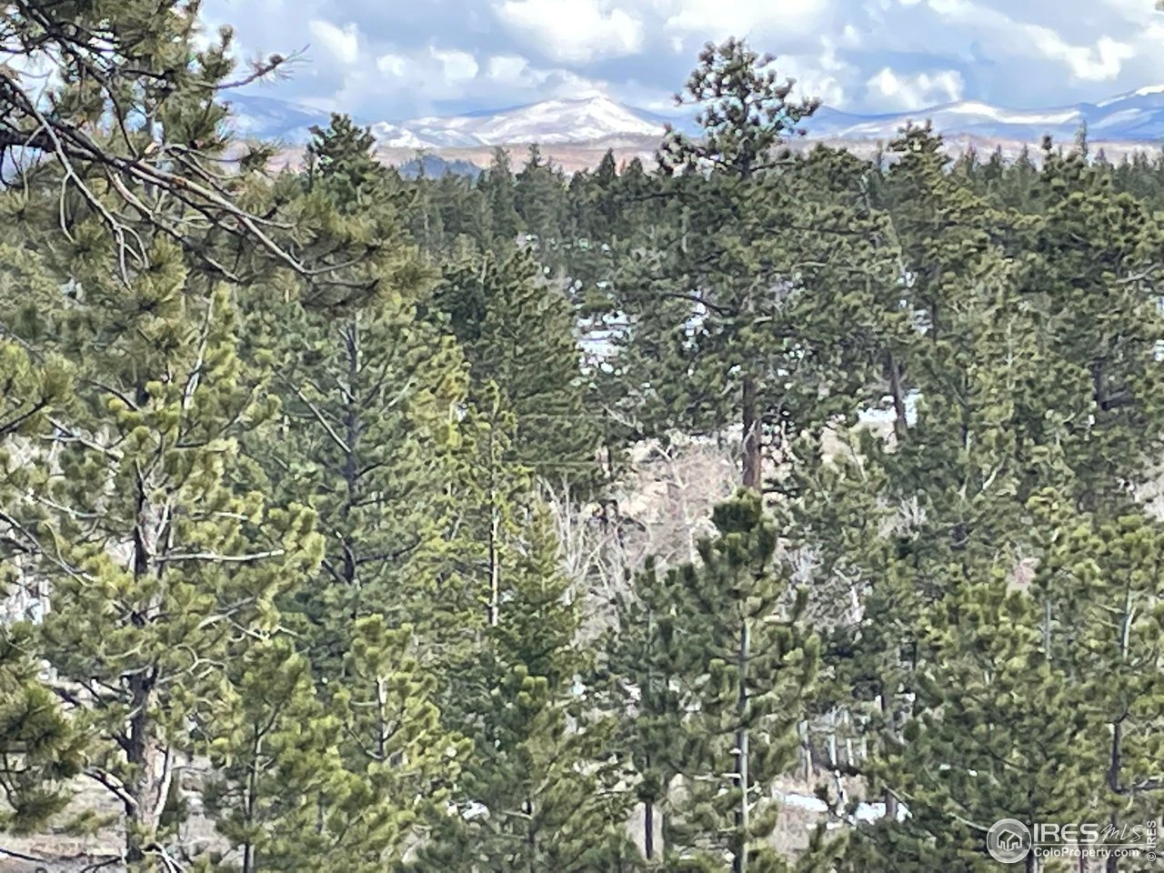 2881 Tiny Bob Road Red Feather Lakes, CO 80545 - Photo 3 of 6