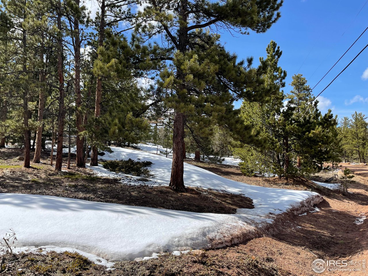 2881 Tiny Bob Road Red Feather Lakes, CO 80545 - Photo 4 of 6