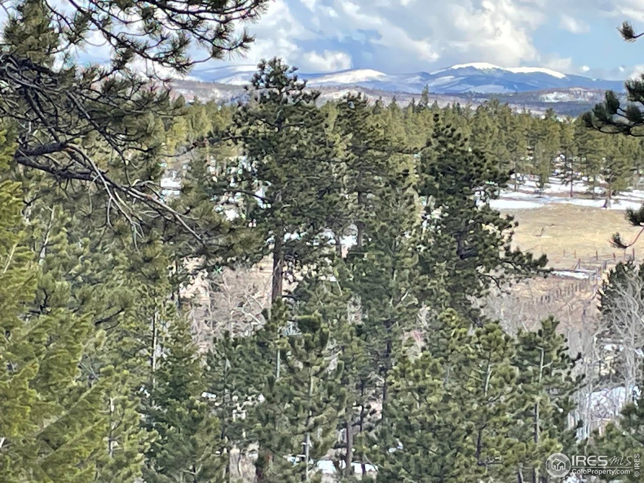 2881 Tiny Bob Road Red Feather Lakes, CO 80545 - Photo 6 of 6