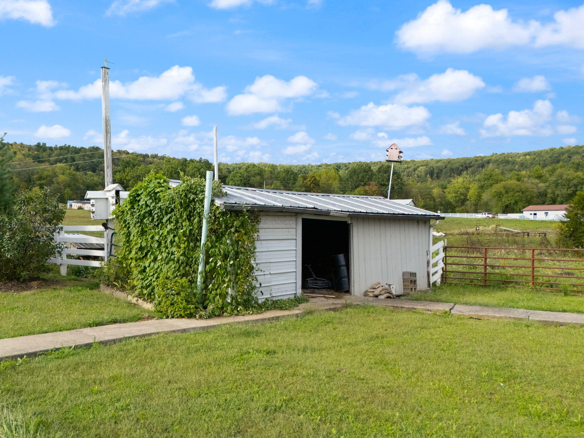 1941 Big Bend Locust Road Hillsboro, KY 41049 - Photo 17 of 57 17-web-or-mls-DJI_20240930165734_0189_D