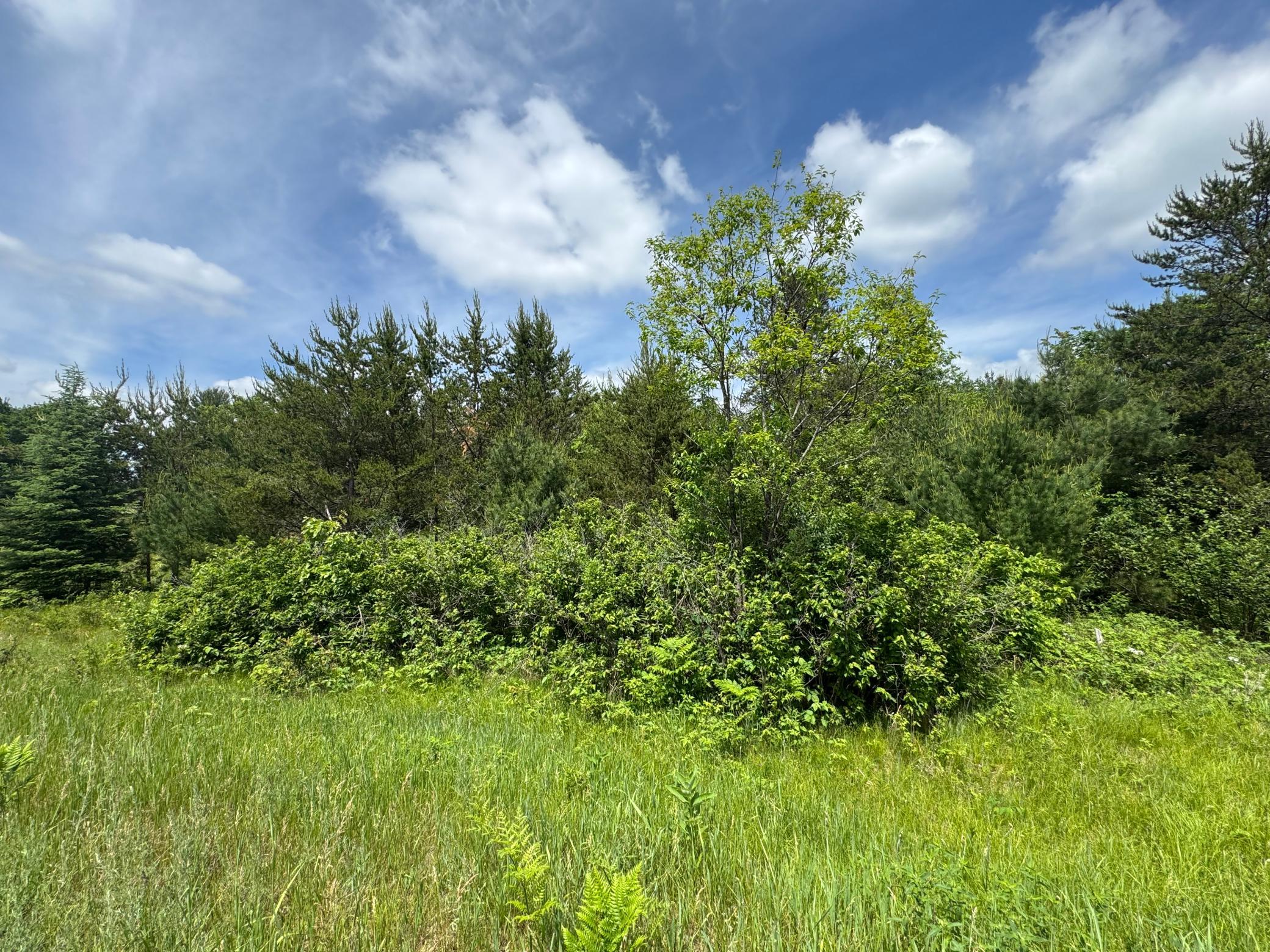 6398 Fred Tripp Road Springbrook, WI 54875 - Photo 13 of 30