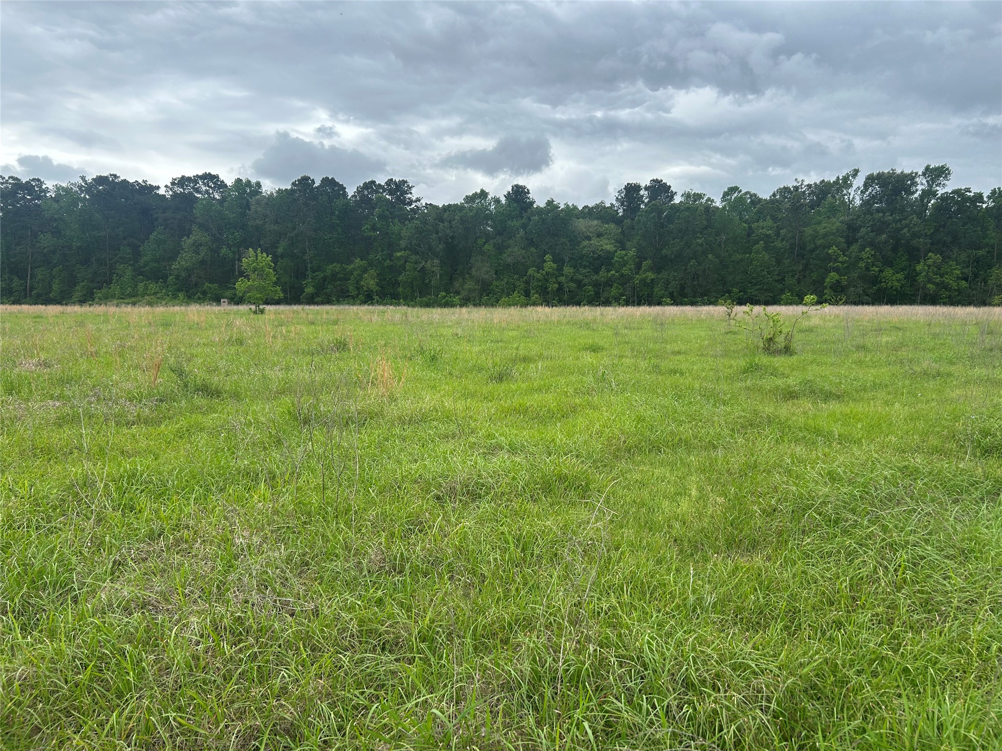 Lot 2 Minnie West Road Hull, TX 77564 - Photo 10 of 13