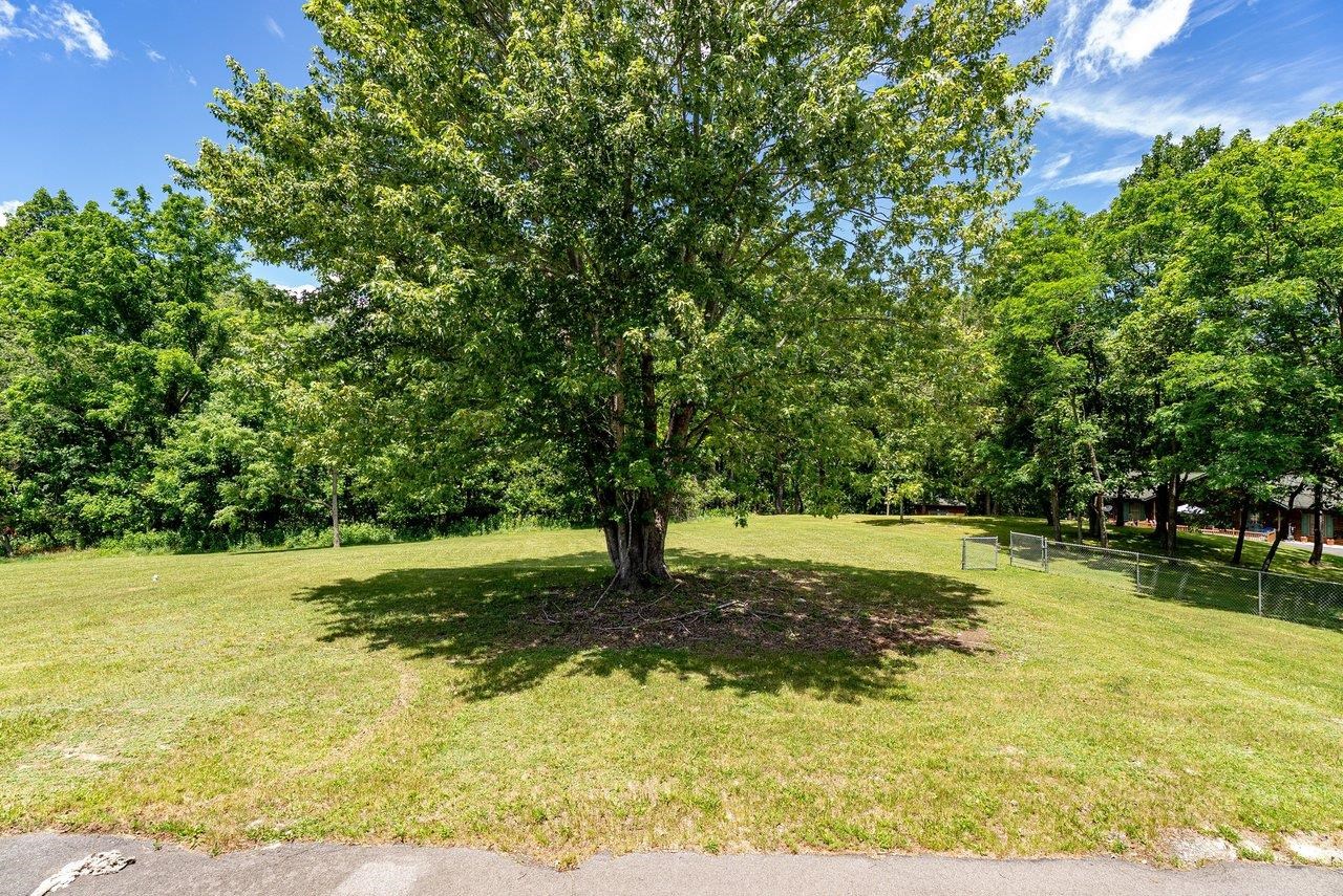 204 Gambill Road Franklin, WV 26807 - Photo 72 of 75