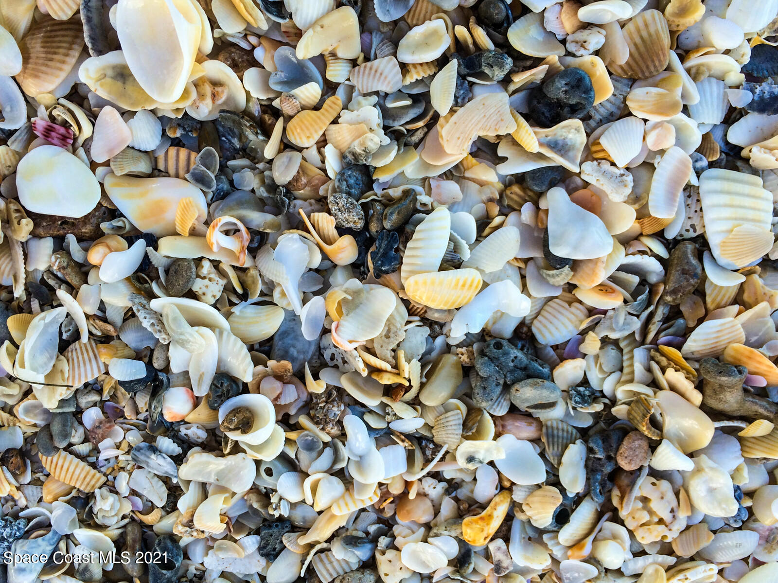 200 Melbourne Avenue Indialantic, FL 32903 - Photo 58 of 62 58_Beach3842_mls