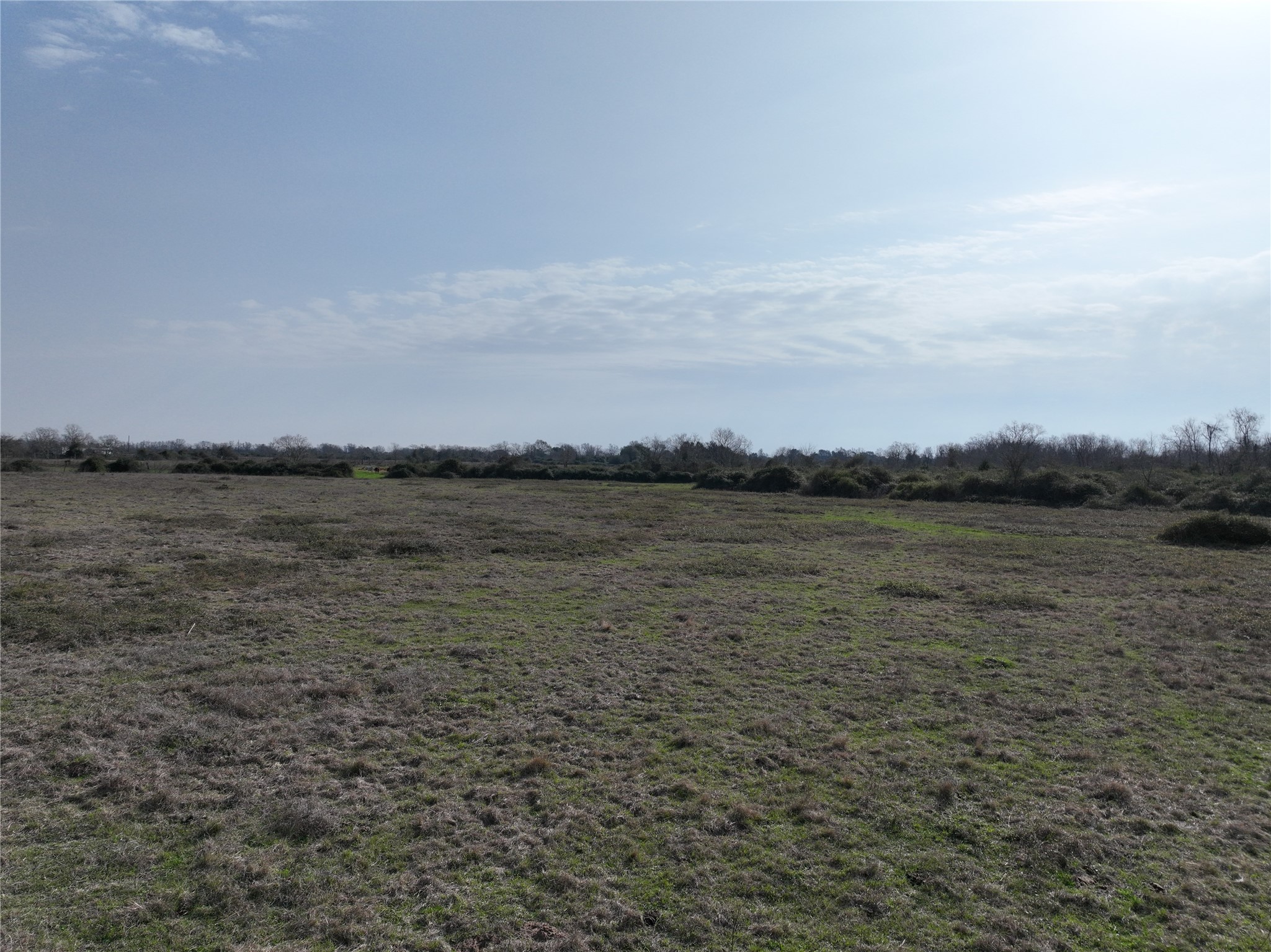 0 Schindler Road Alleyton, TX 78935 - Photo 29 of 39 Additional mid pasture view.
