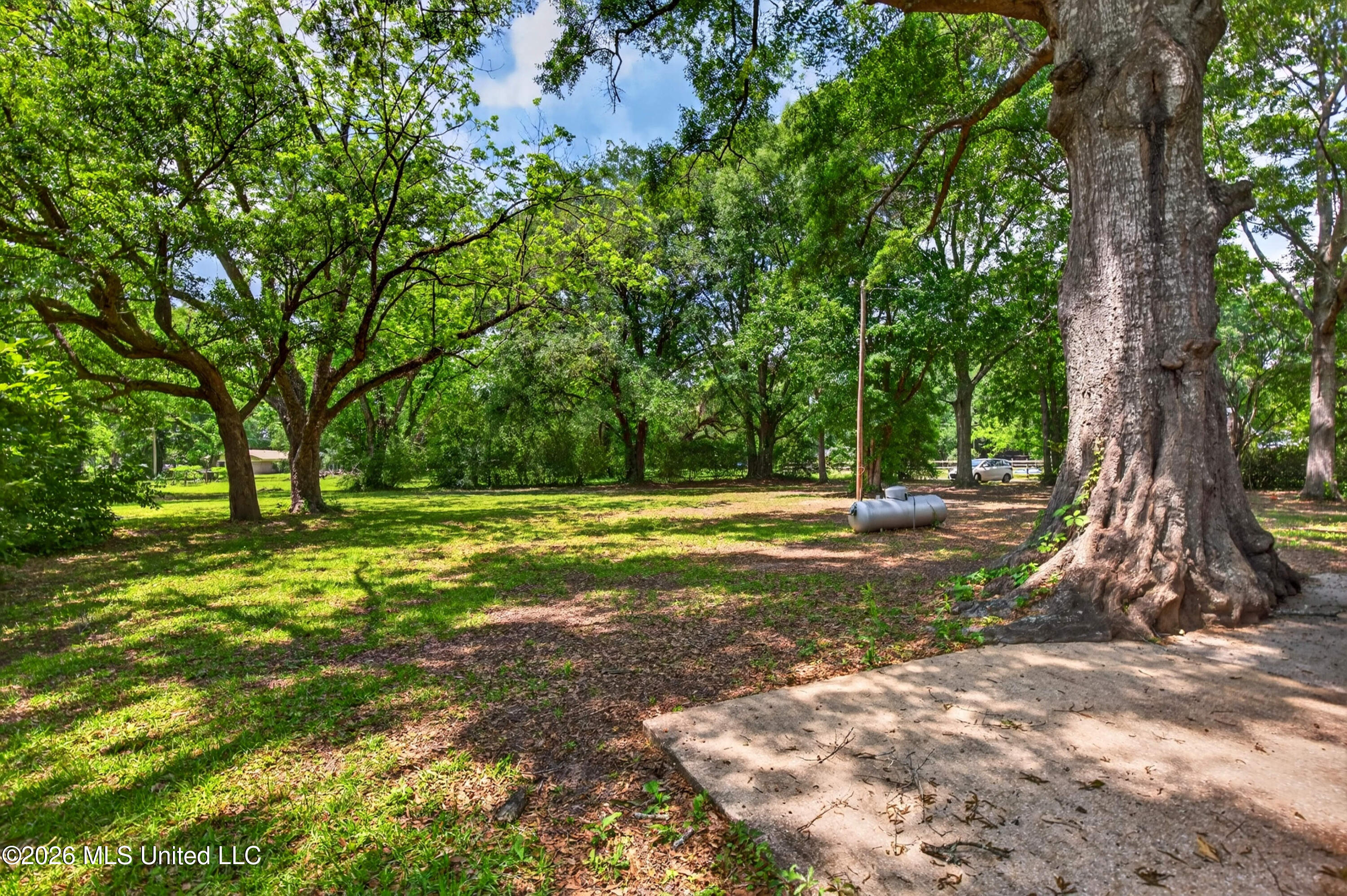 21601 Magnolia Springs Road Moss Point, MS 39562 - Photo 11 of 35 21601MagnoliaSpringsRd.-12