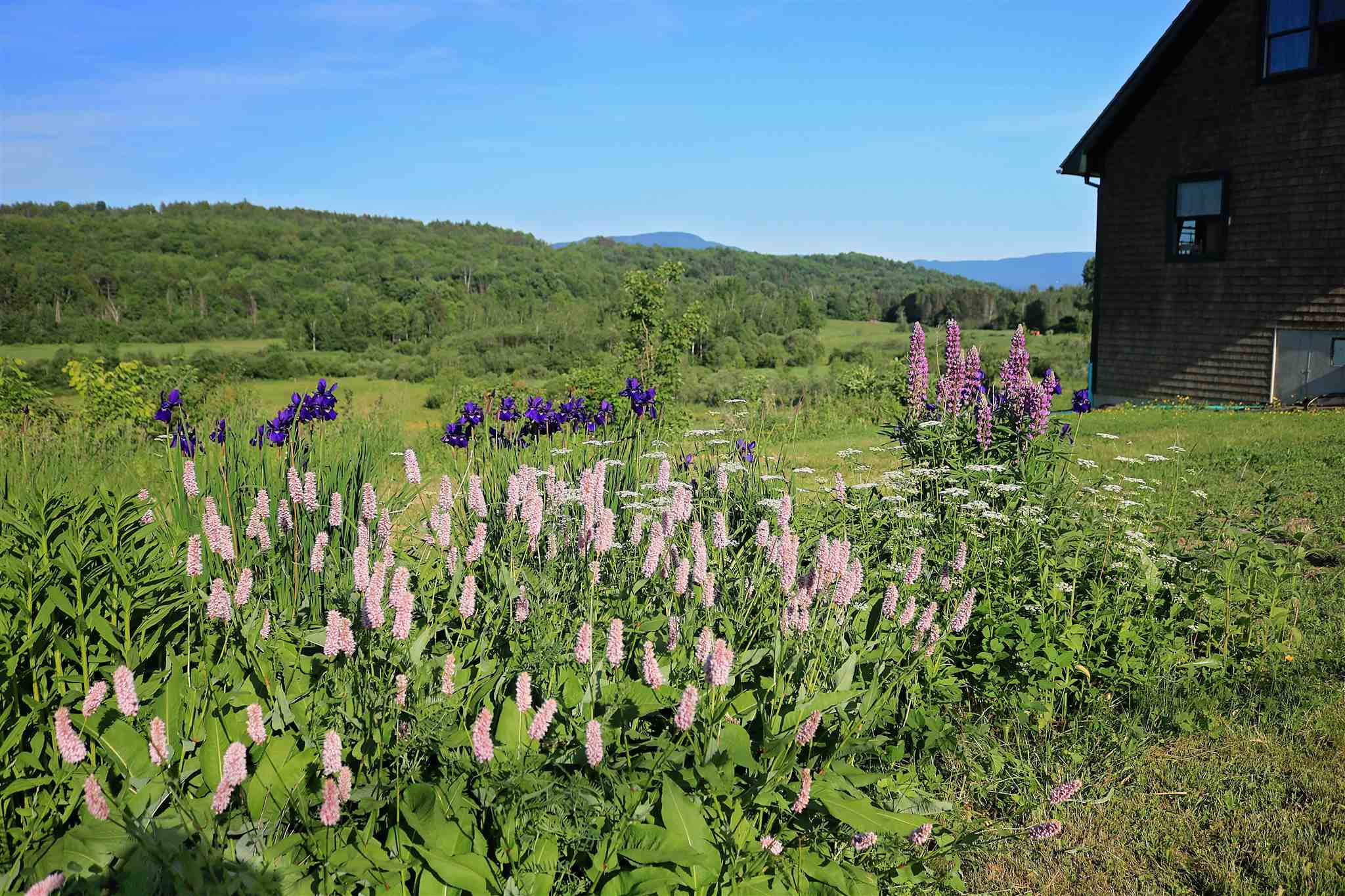 47 Fontaine Hill Road Morristown, VT 05661 - Photo 3 of 12 Gallery Image 3