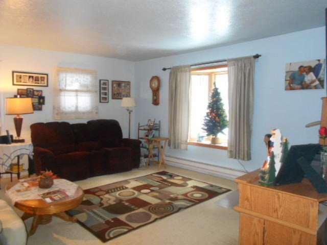 7845 South Evergreen Road Branch, MI 49402 - Photo 11 of 30 DSCN7474