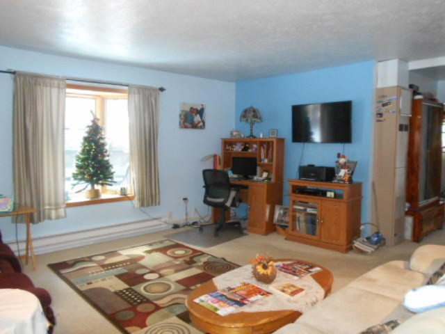 7845 South Evergreen Road Branch, MI 49402 - Photo 12 of 30 DSCN7480