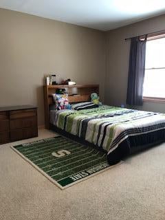 10622 West Irish Line Road Brimley, MI 49715 - Photo 63 of 65 Gallery Image 63
