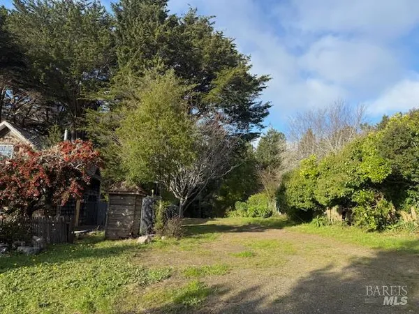 a view of a yard with plants and trees
