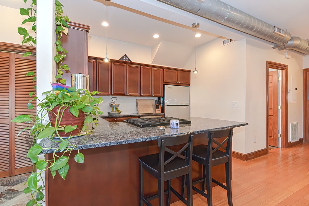176 Hillside Street, Unit 101 Boston, MA 02120 - Photo 5 of 31