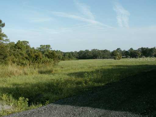 Cattle Ranch Way Lithia, FL 33547 - Photo 1 of 1 Land