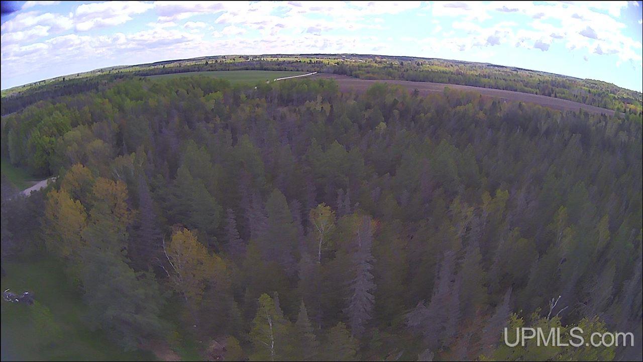 N19598 Swede Road Perronville, MI 49873 - Photo 41 of 59