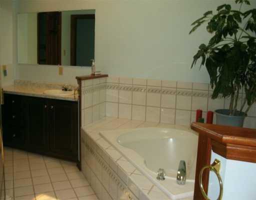 211 Sygan Road McDonald, PA 15057 - Photo 7 of 8 Master Bath/Spa.