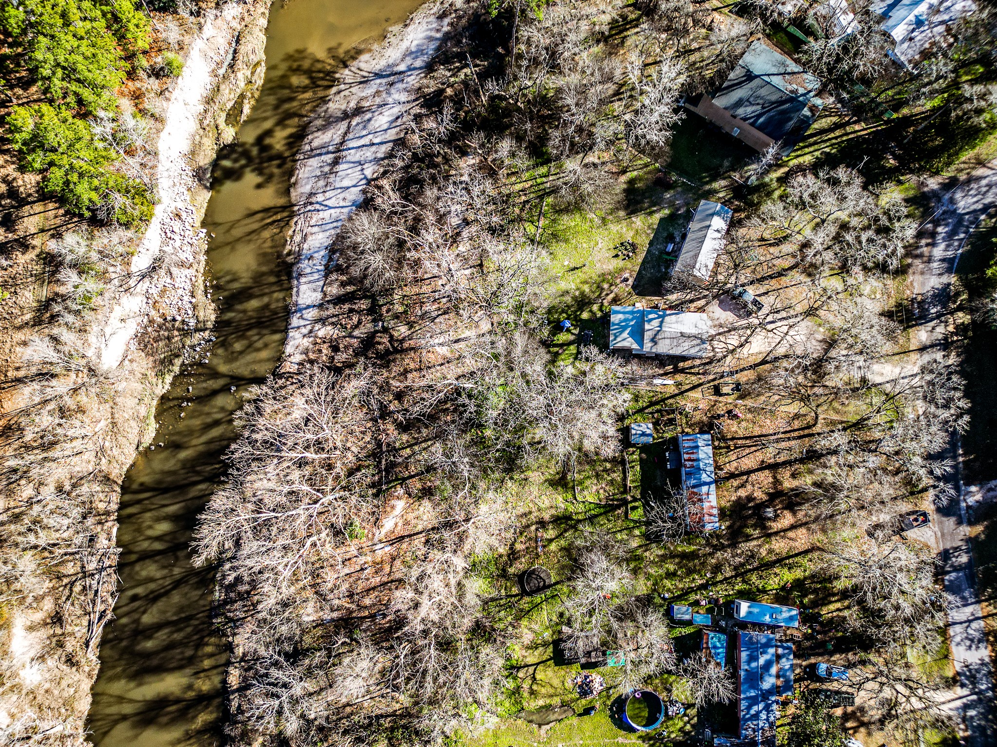 14 Creek Road Huntsville, TX 77320 - Photo 7 of 8 a close up of a tree