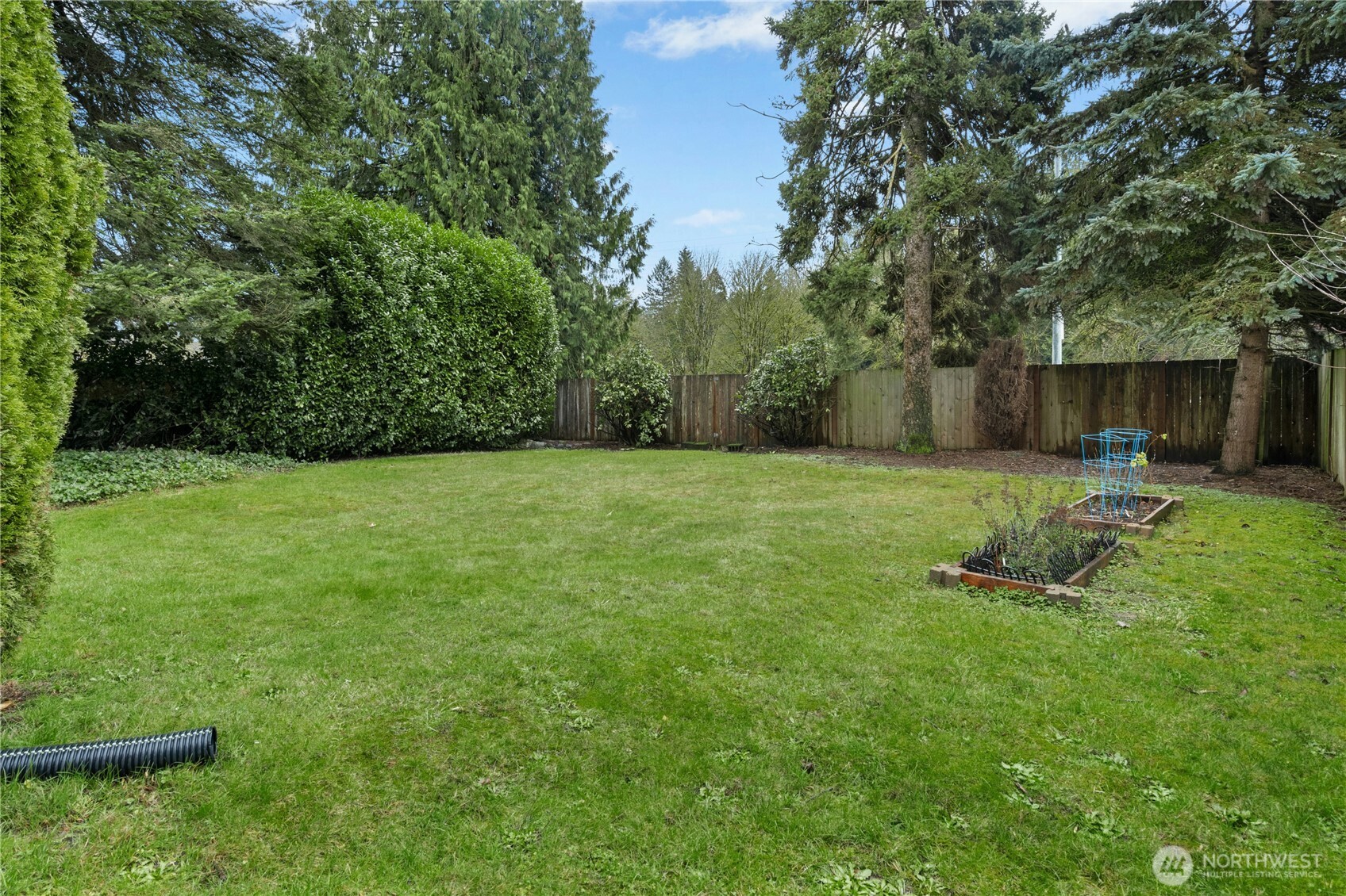 3125 Southeast 6th Street Renton, WA 98058 - Photo 23 of 27 a backyard of a house with lots of green space