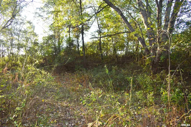 $480,000 | 1900 Road Beecher City Il 62414, Beecher City, IL 62414