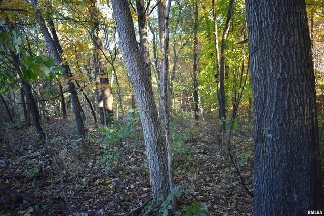 $480,000 | 1900 Road Beecher City Il 62414, Beecher City, IL 62414