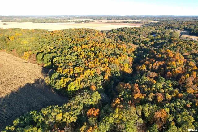 $480,000 | 1900 Road Beecher City Il 62414, Beecher City, IL 62414