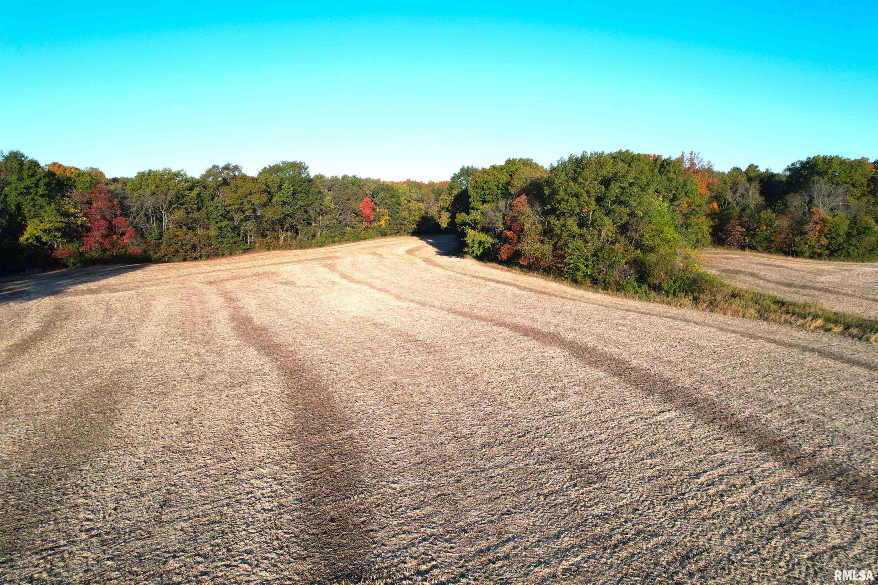 1900 Road Beecher City Il 62414 Beecher City, IL 62414 - Photo 6 of 15