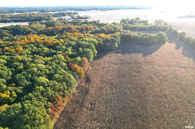 $480,000 | 1900 Road Beecher City Il 62414, Beecher City, IL 62414