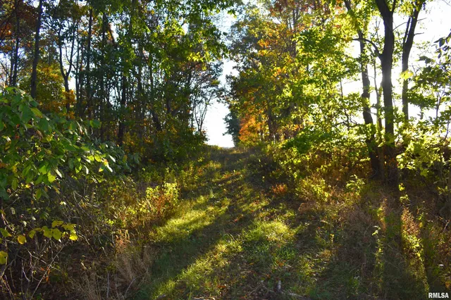 $480,000 | 1900 Road Beecher City Il 62414, Beecher City, IL 62414