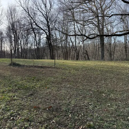a view of outdoor space with trees