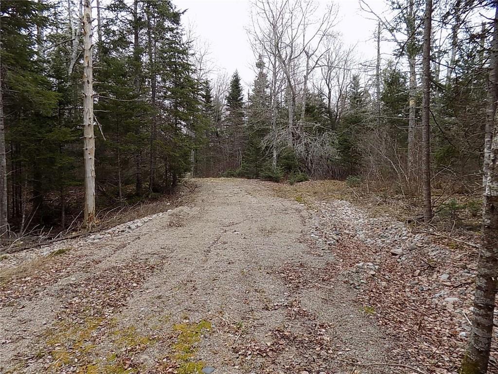 2 Gouldsboro Point Road Gouldsboro, ME 04607 - Photo 19 of 26 The hard work's been done! The...