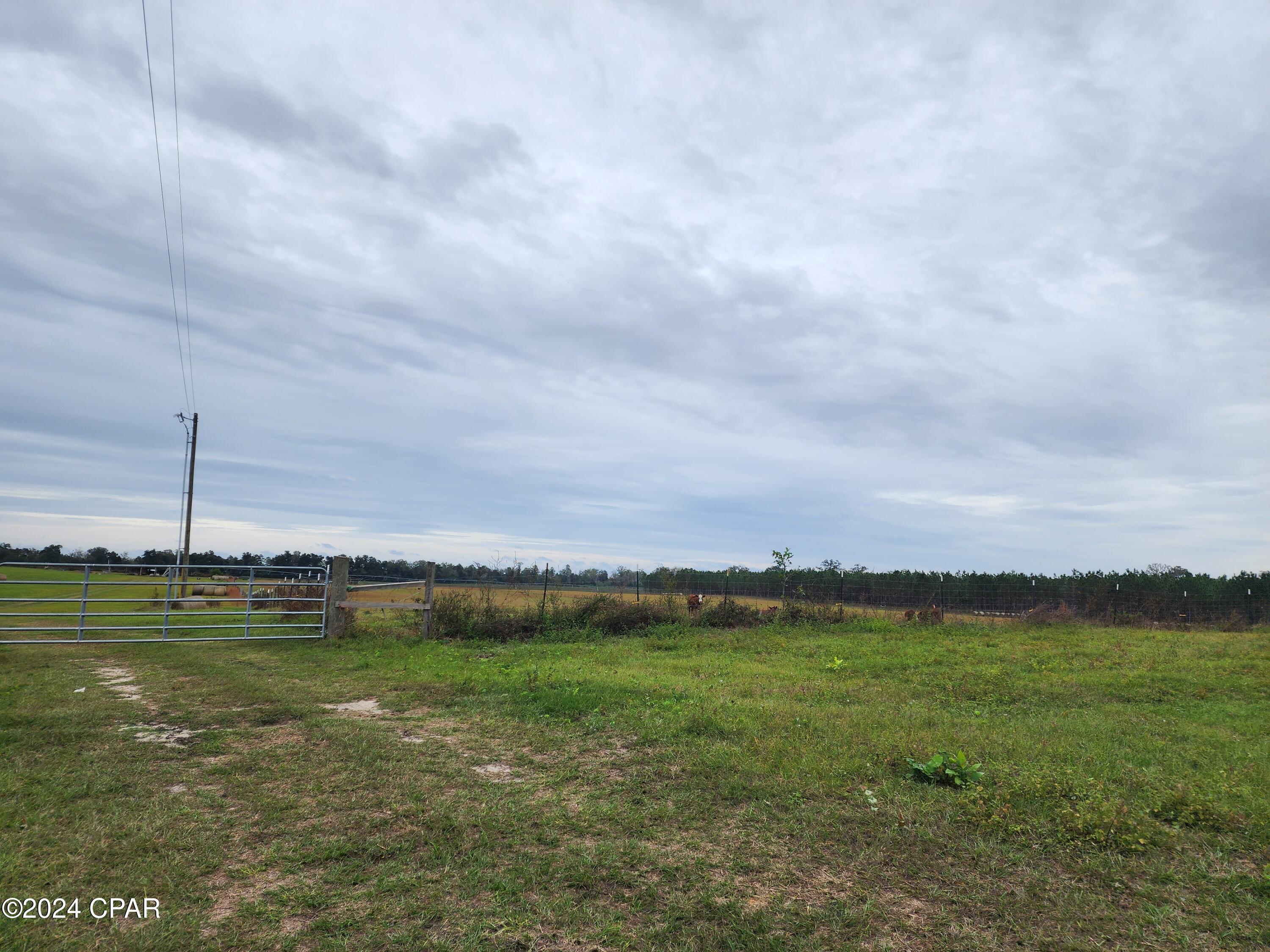 4900 Kings Road Bascom, FL 32423 - Photo 11 of 11