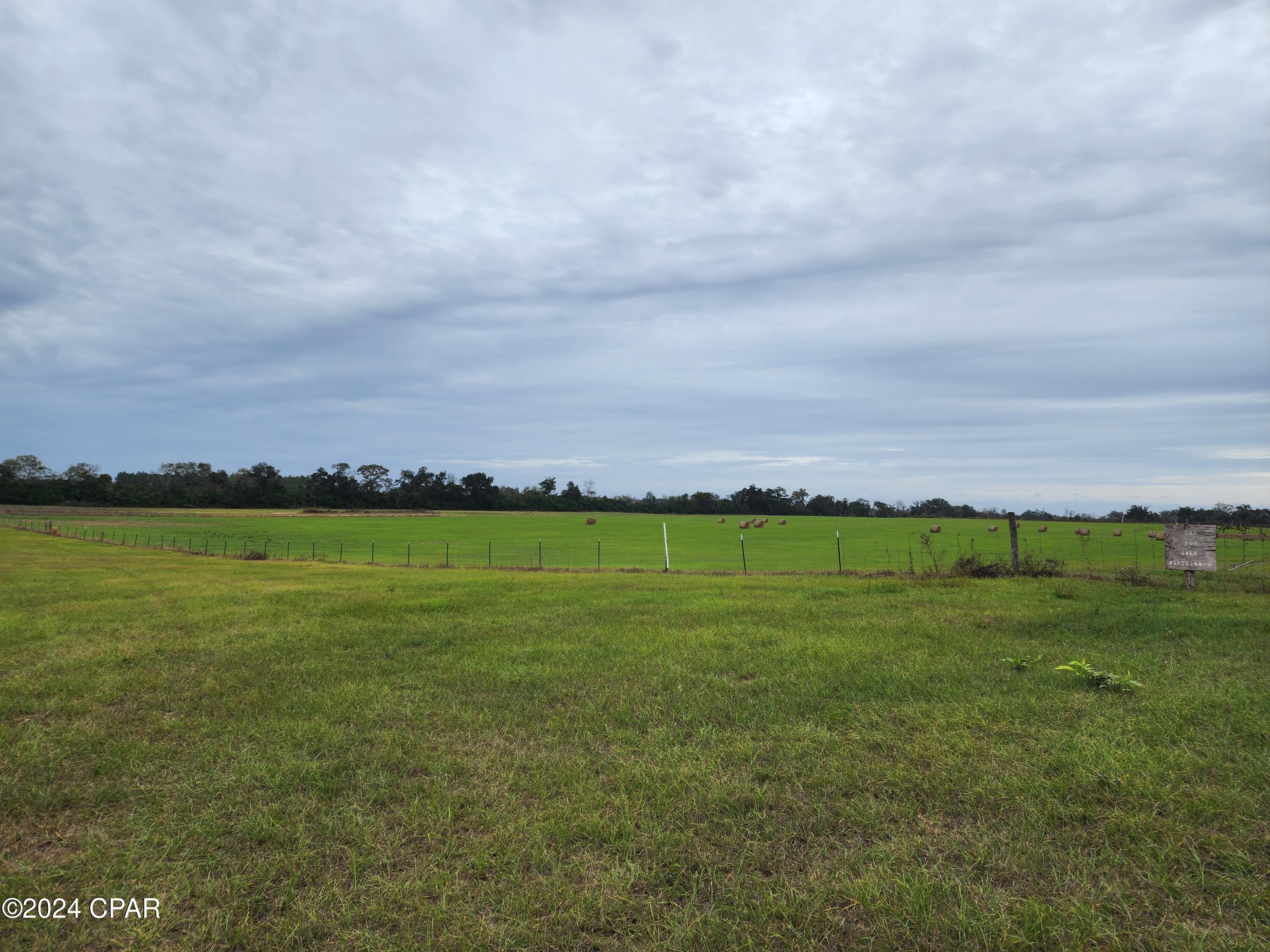 4900 Kings Road Bascom, FL 32423 - Photo 2 of 11