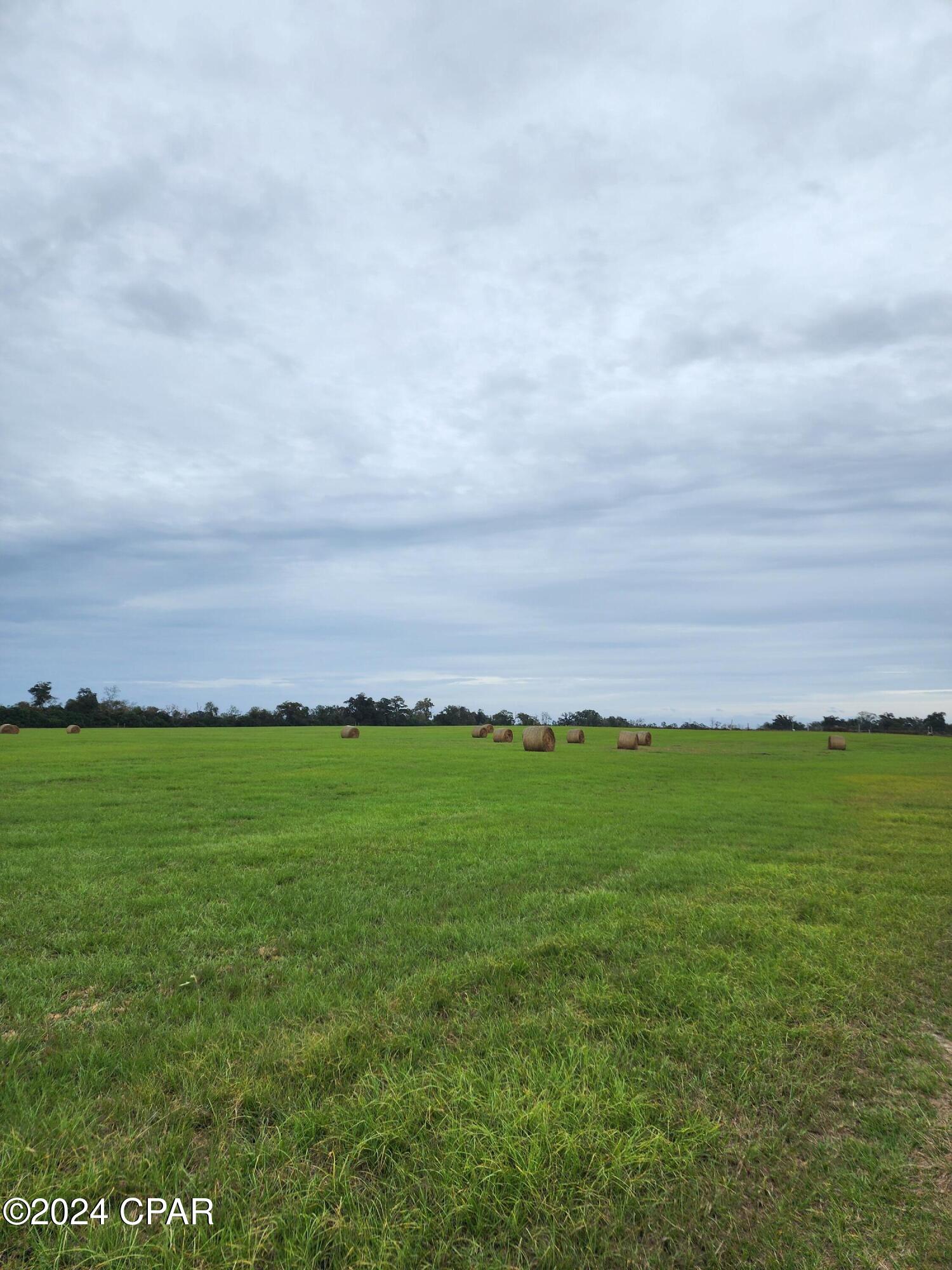 4900 Kings Road Bascom, FL 32423 - Photo 3 of 11