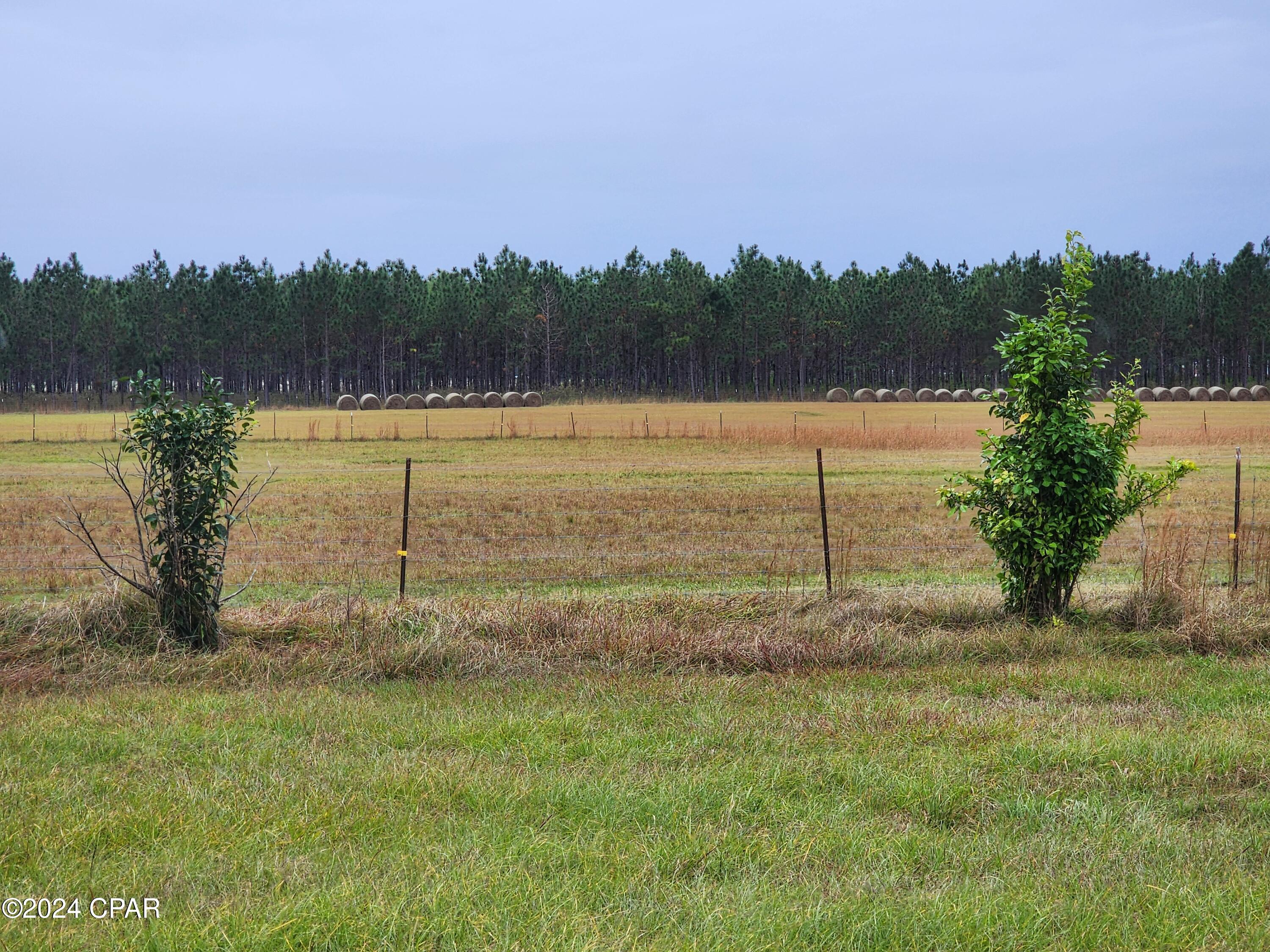 4900 Kings Road Bascom, FL 32423 - Photo 4 of 11