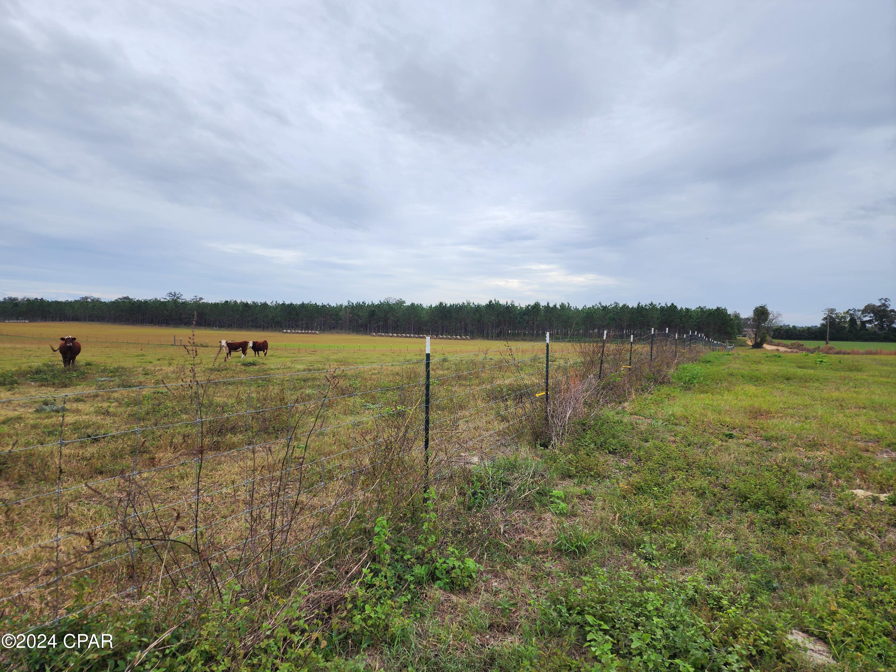 4900 Kings Road Bascom, FL 32423 - Photo 6 of 11