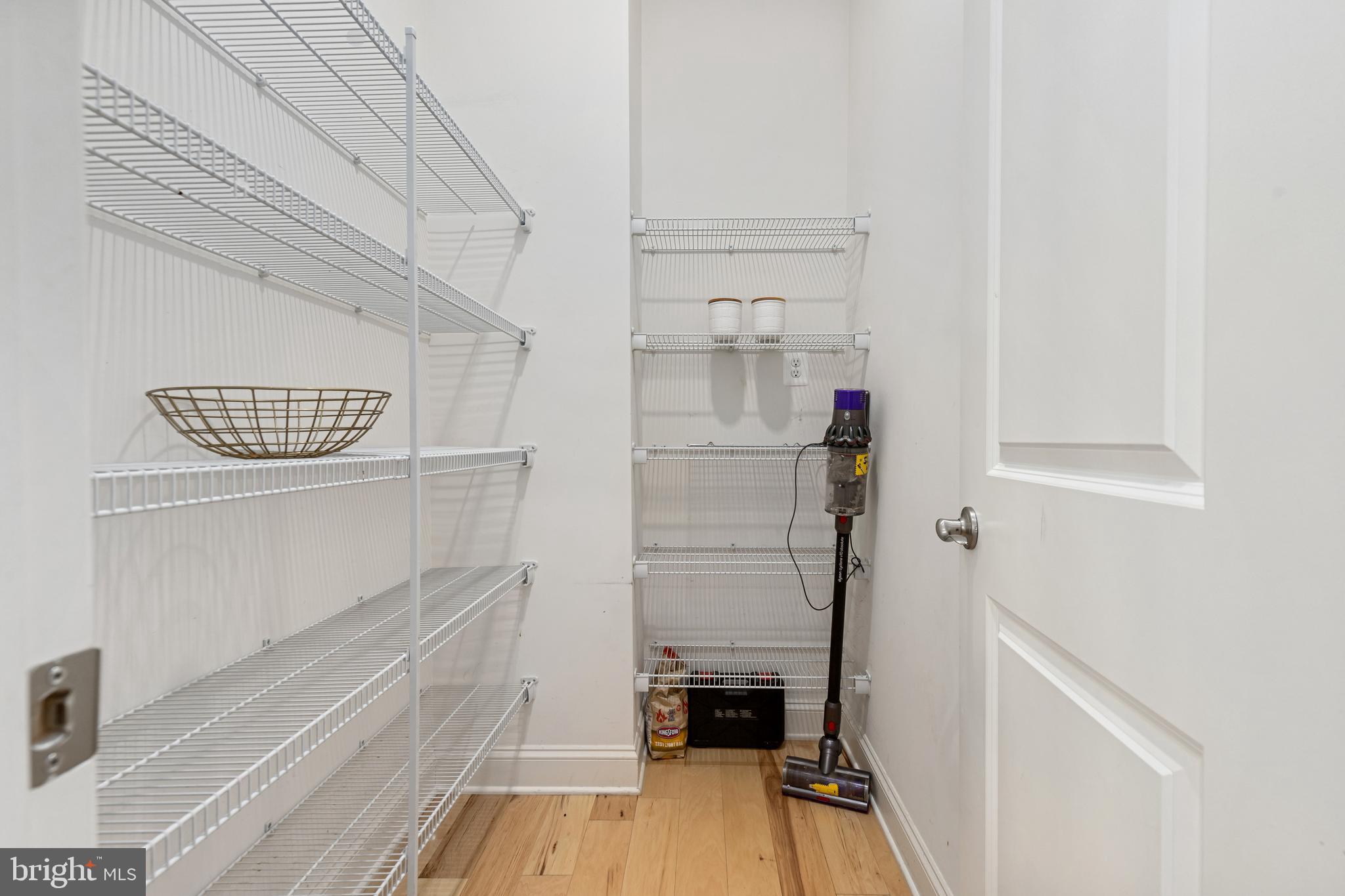 40955 Cutleaf Lane Aldie, VA 20105 - Photo 22 of 78 Walk-in Pantry