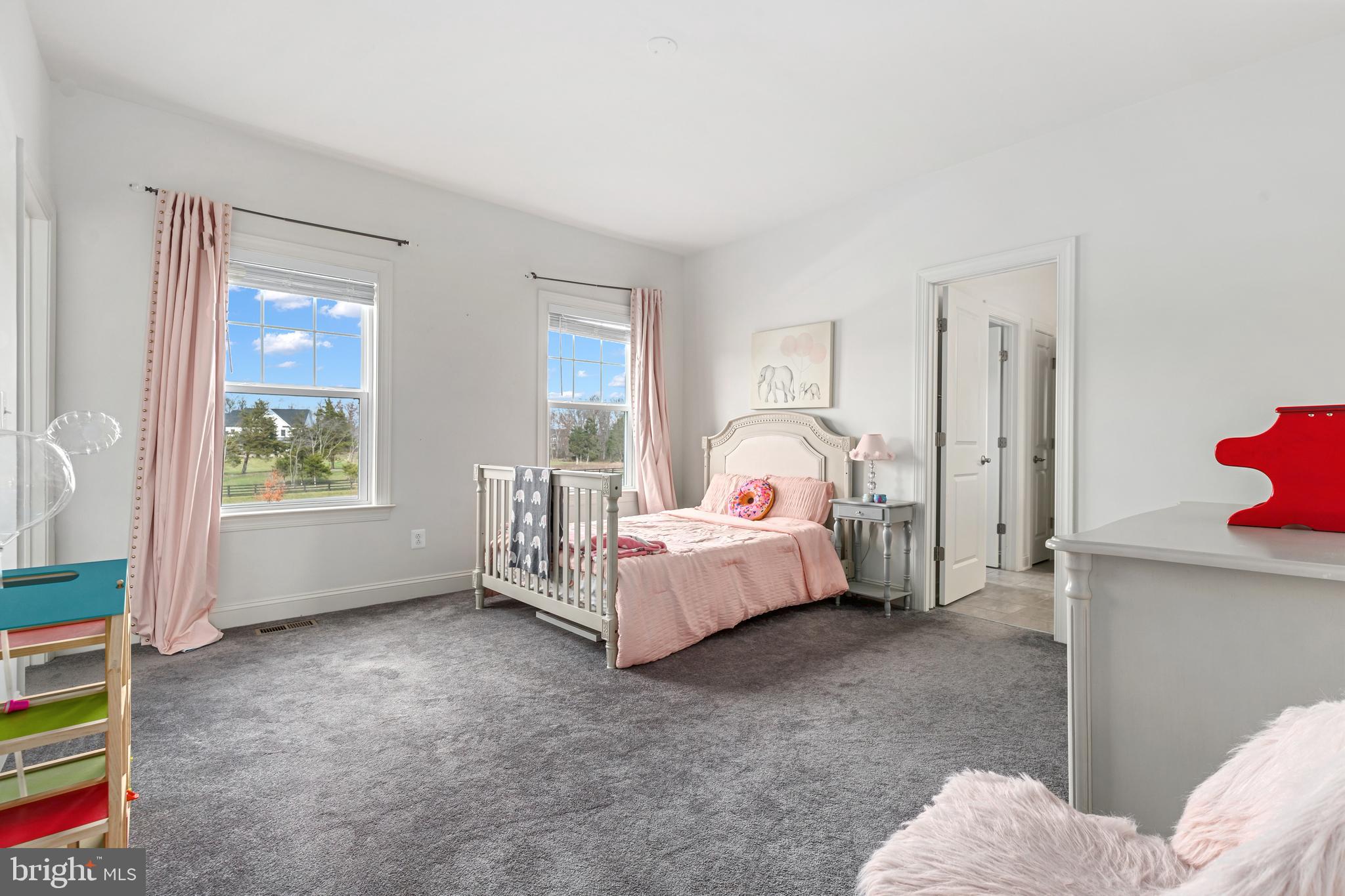 40955 Cutleaf Lane Aldie, VA 20105 - Photo 45 of 78 Bedroom # 3