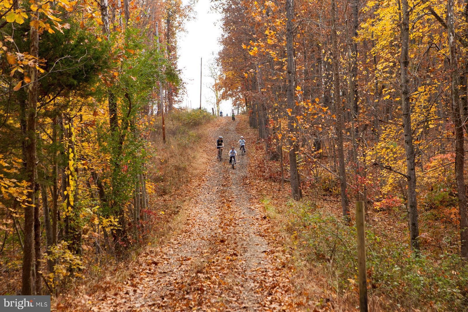 40955 Cutleaf Lane Aldie, VA 20105 - Photo 62 of 78 Trails