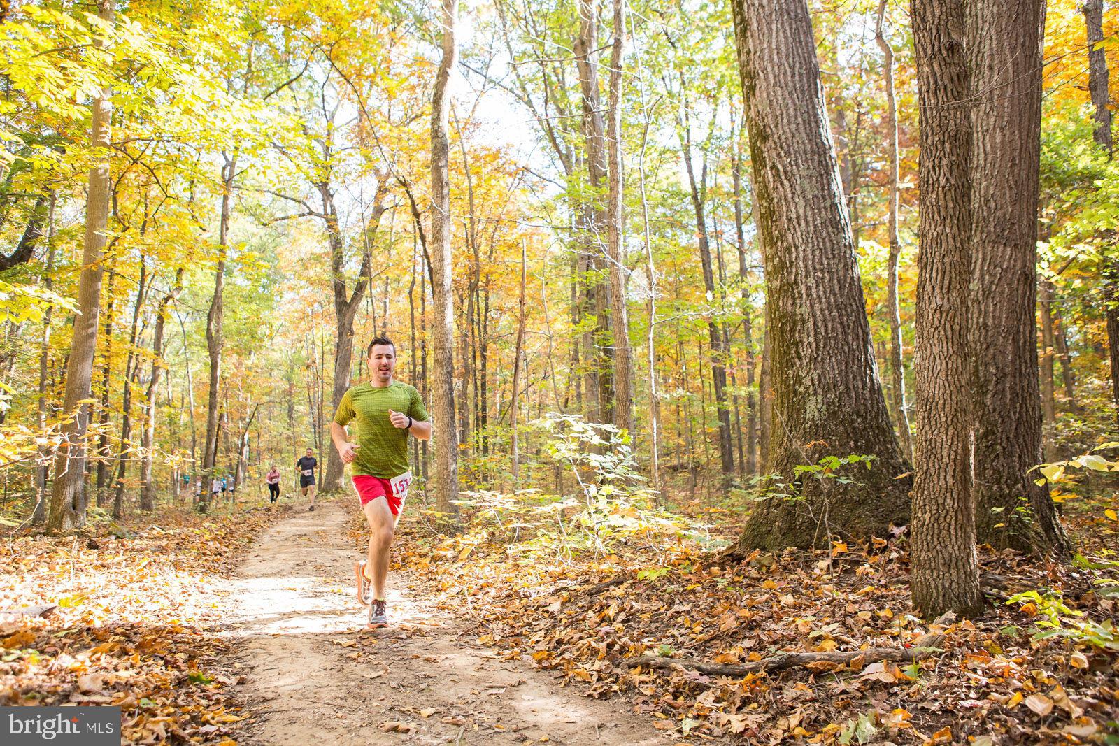40955 Cutleaf Lane Aldie, VA 20105 - Photo 67 of 78 Trails