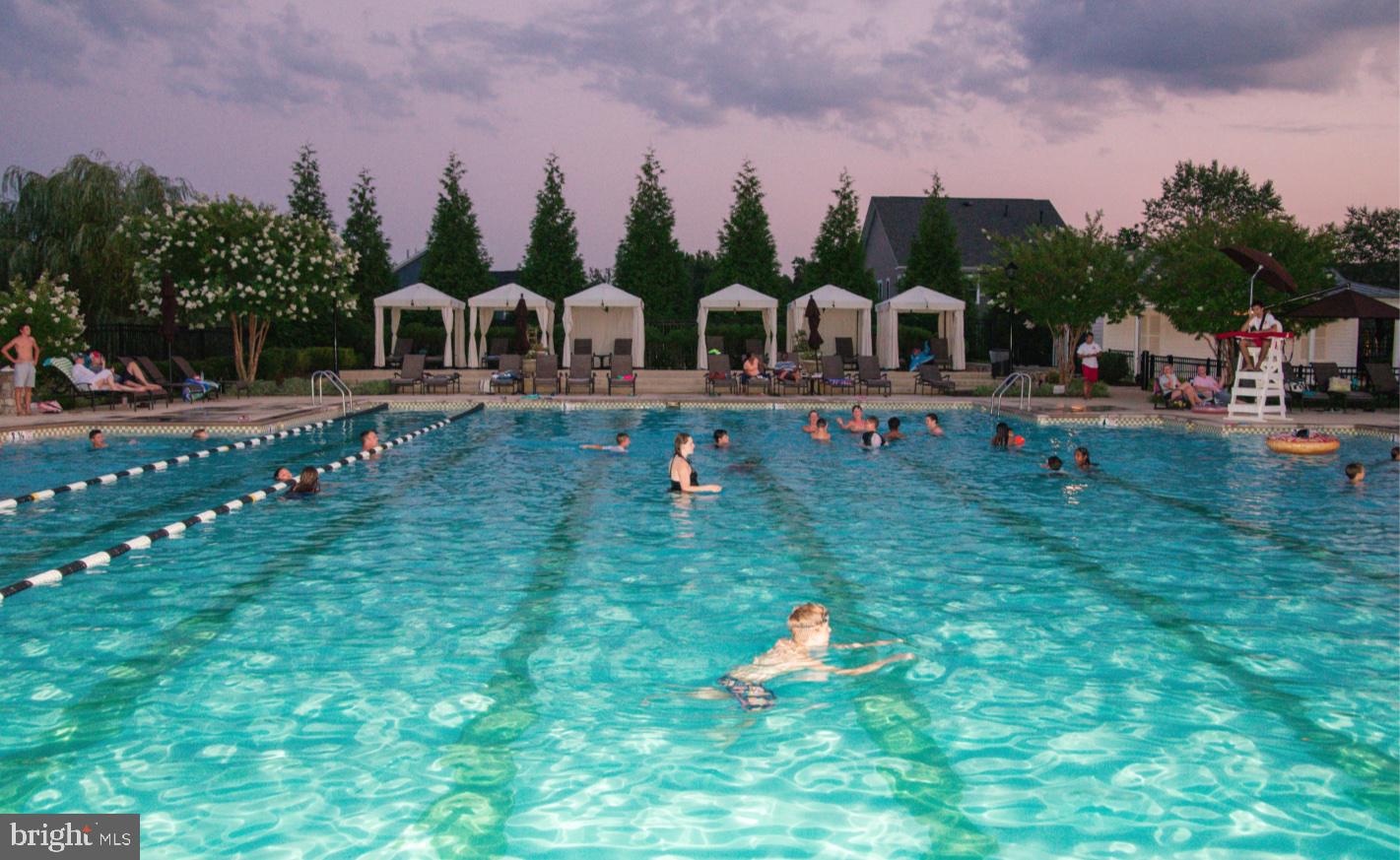 40955 Cutleaf Lane Aldie, VA 20105 - Photo 71 of 78 Sycamore Pool