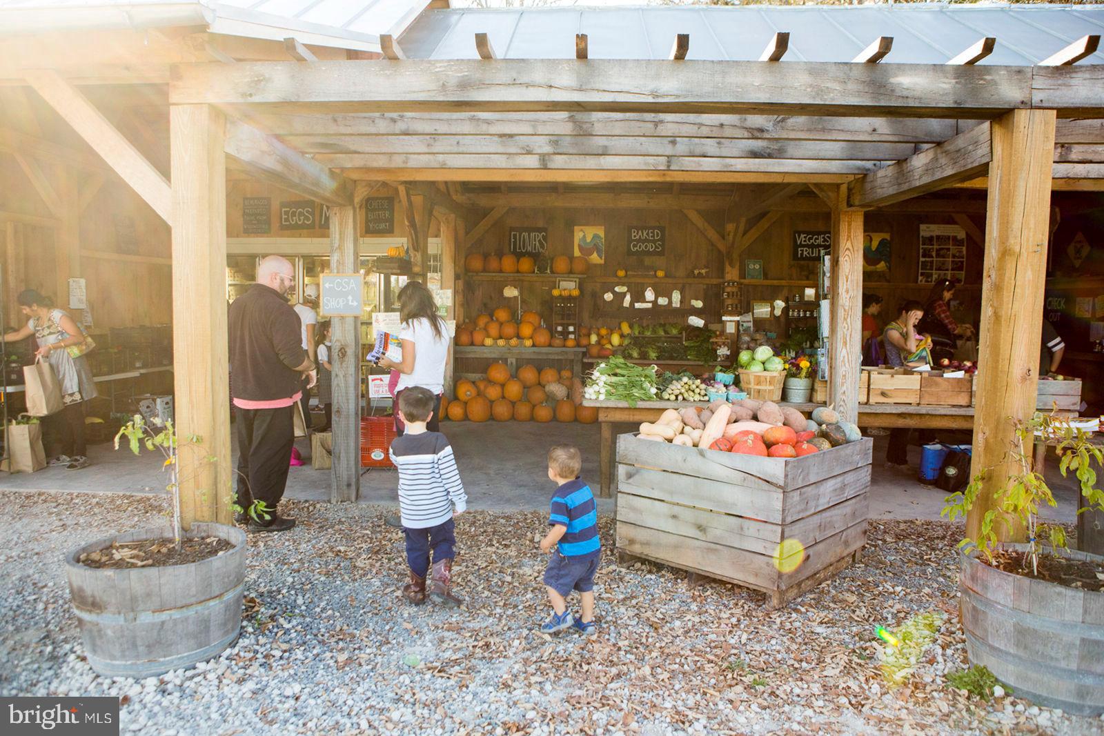 40955 Cutleaf Lane Aldie, VA 20105 - Photo 77 of 78 Farmer's Market