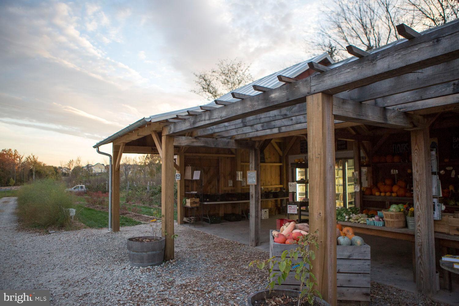 40955 Cutleaf Lane Aldie, VA 20105 - Photo 78 of 78