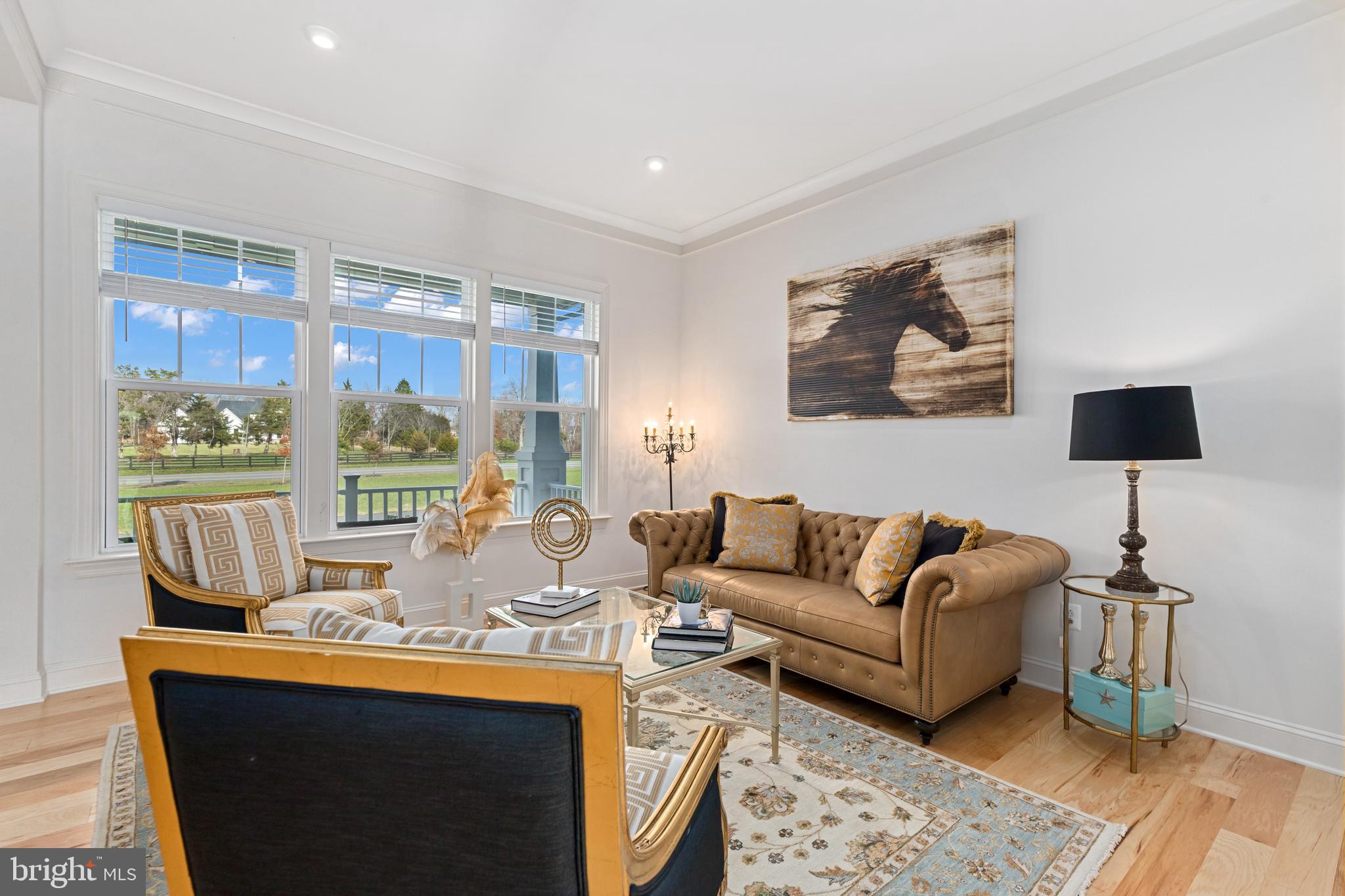 40955 Cutleaf Lane Aldie, VA 20105 - Photo 10 of 78 View from Living Room