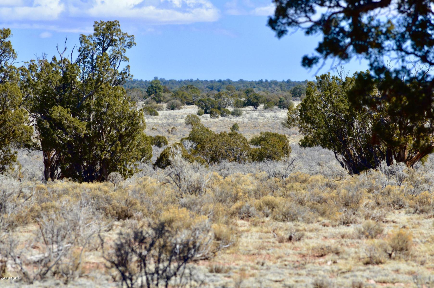 1232 Red Butte Road Williams, AZ 86046 - Photo 12 of 13 20180319043048080193000000-o