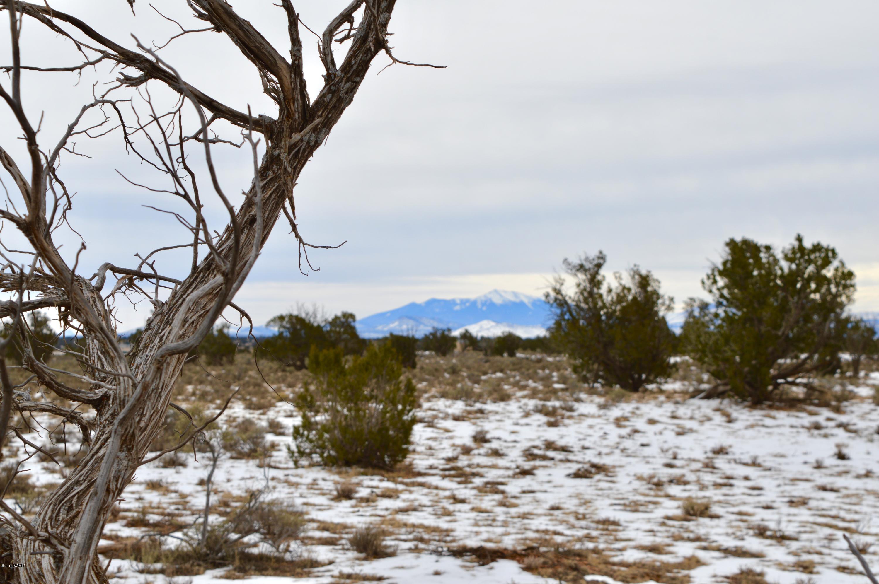 1232 Red Butte Road Williams, AZ 86046 - Photo 5 of 13 Leveled and ready to be built on