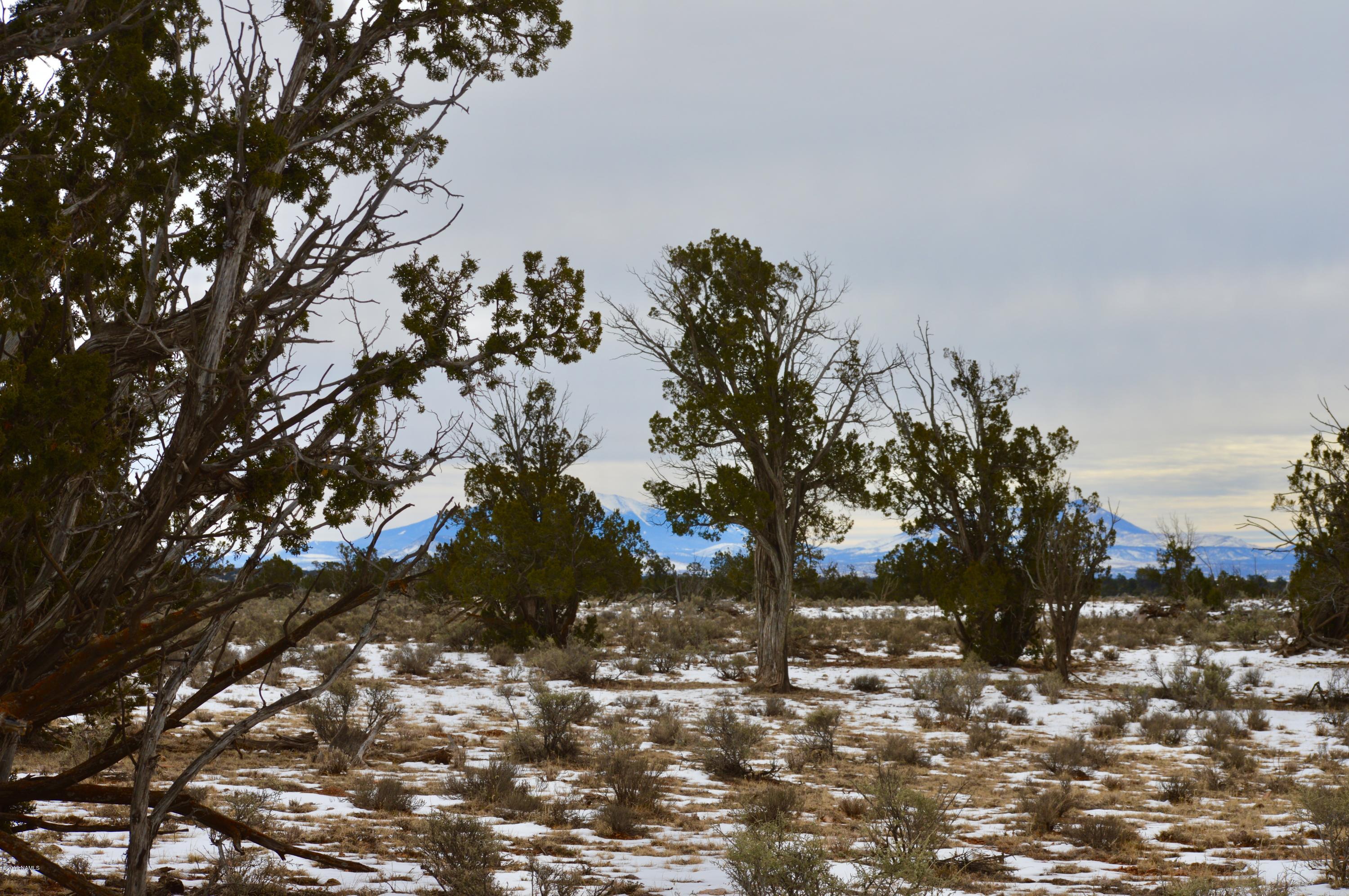 1232 Red Butte Road Williams, AZ 86046 - Photo 8 of 13 fullsizeoutput_27e