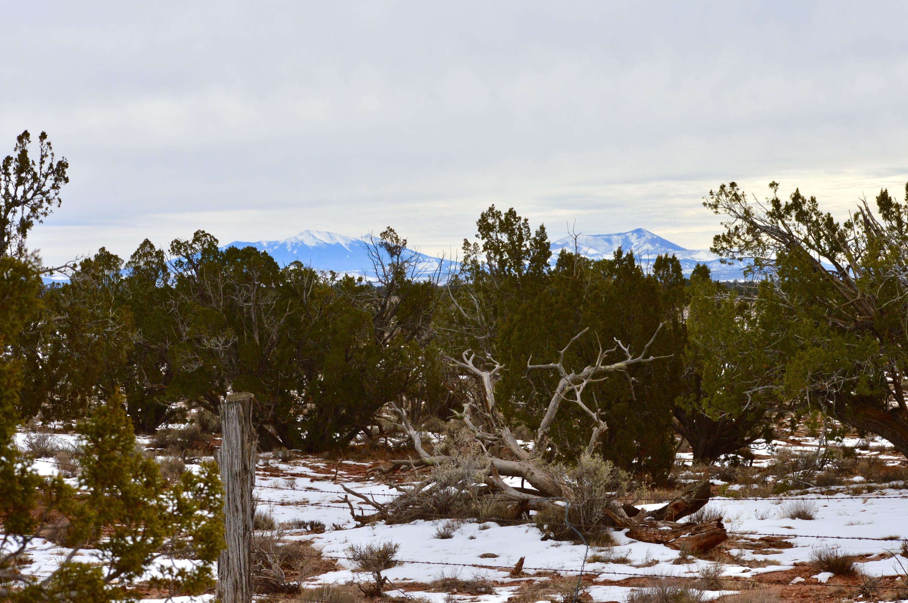 1232 Red Butte Road Williams, AZ 86046 - Photo 9 of 13 fullsizeoutput_27d